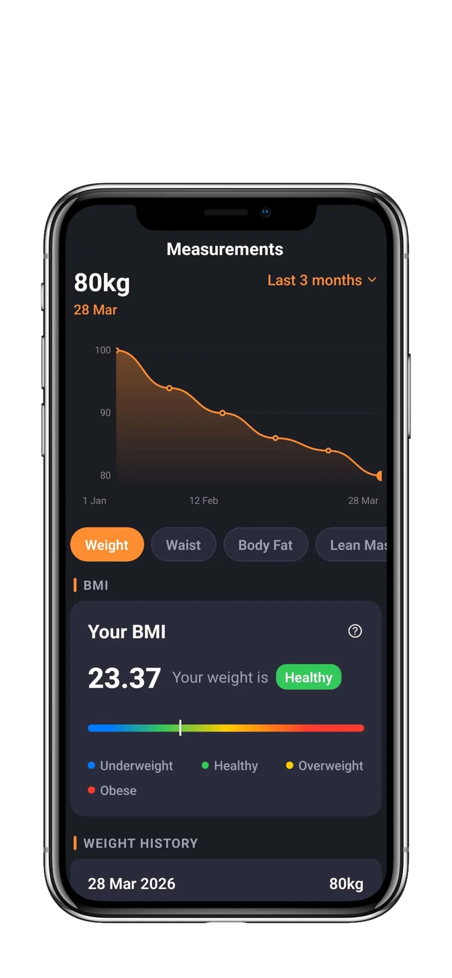Buffro body measurements and progress charts
